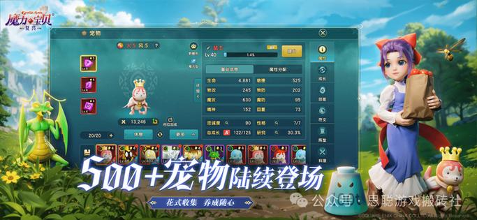 魔力宝贝神秘地图探索攻略