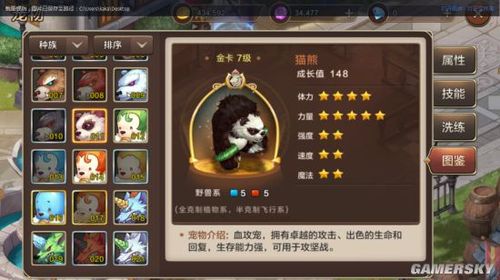 魔力宝贝私服最强宠物技能加点攻略