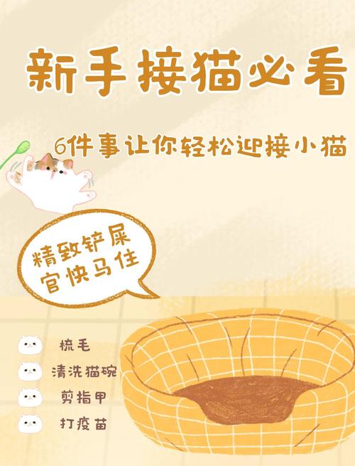 魔力百科新手必看攻略，轻松上手无压力