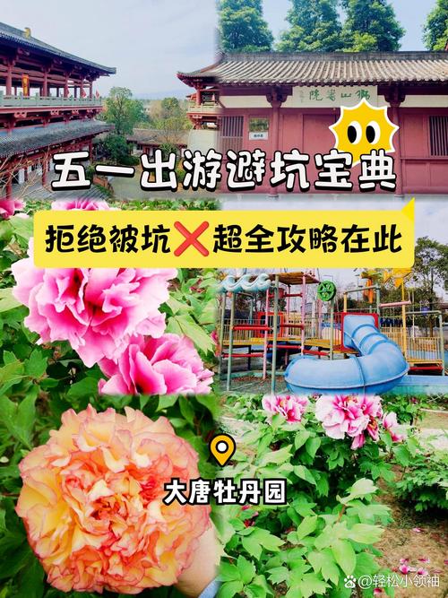 魔力宝贝sf装备强化失败怎么办，避坑指南