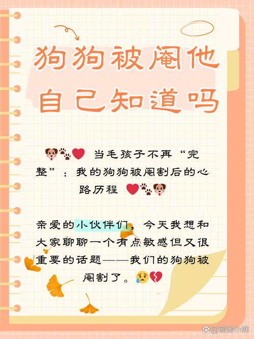 魔力百科宠物获取全解析，打造你的强力伙伴