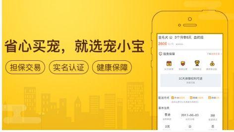 魔力宝贝私服交易系统使用技巧 如何安全高效交易