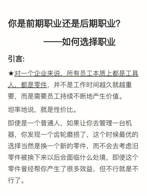 魔力百科职业选择全解析 适合你的职业是什么