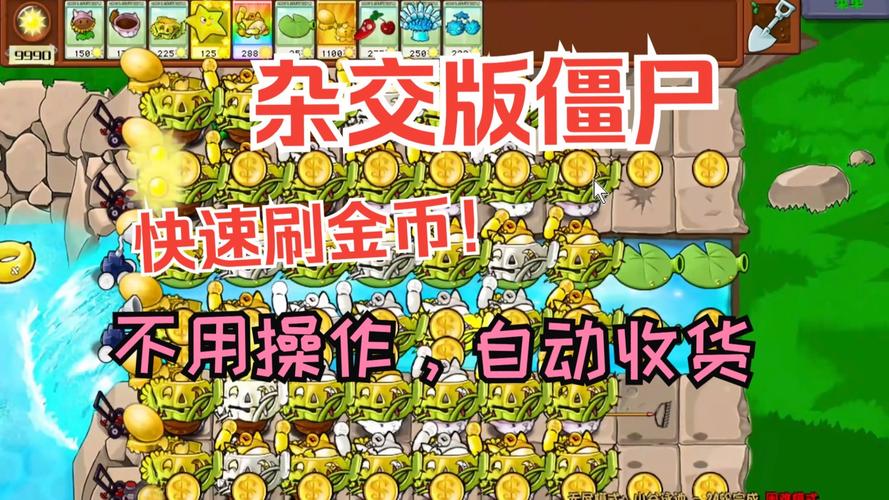 魔力宝贝私服金币速刷技巧 高效获取金币的方法