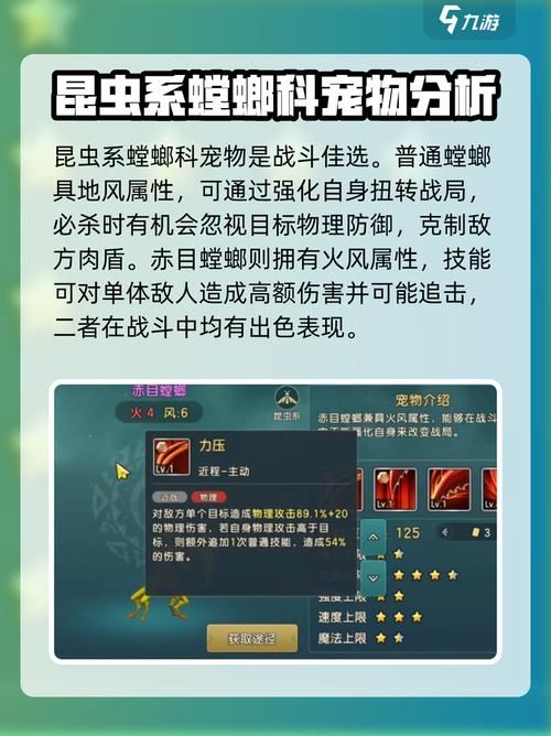 魔力宝贝私服每日任务汇总轻松获得大量经验