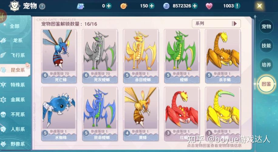 魔力宝贝私服最热门宠物排行榜