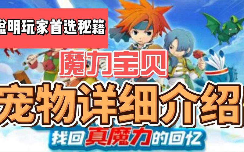 魔力宝贝私服顶级宠物培养策略